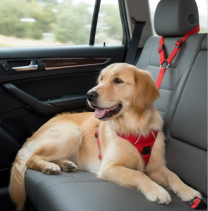 Ceinture de sécurité ajustable pour chiens et chats – Livraison gratuite et retour offert| Calmozon