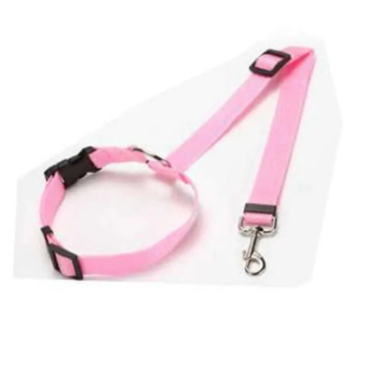 Ceinture de sécurité ajustable pour chiens et chats – Livraison gratuite et retour offert| Calmozon