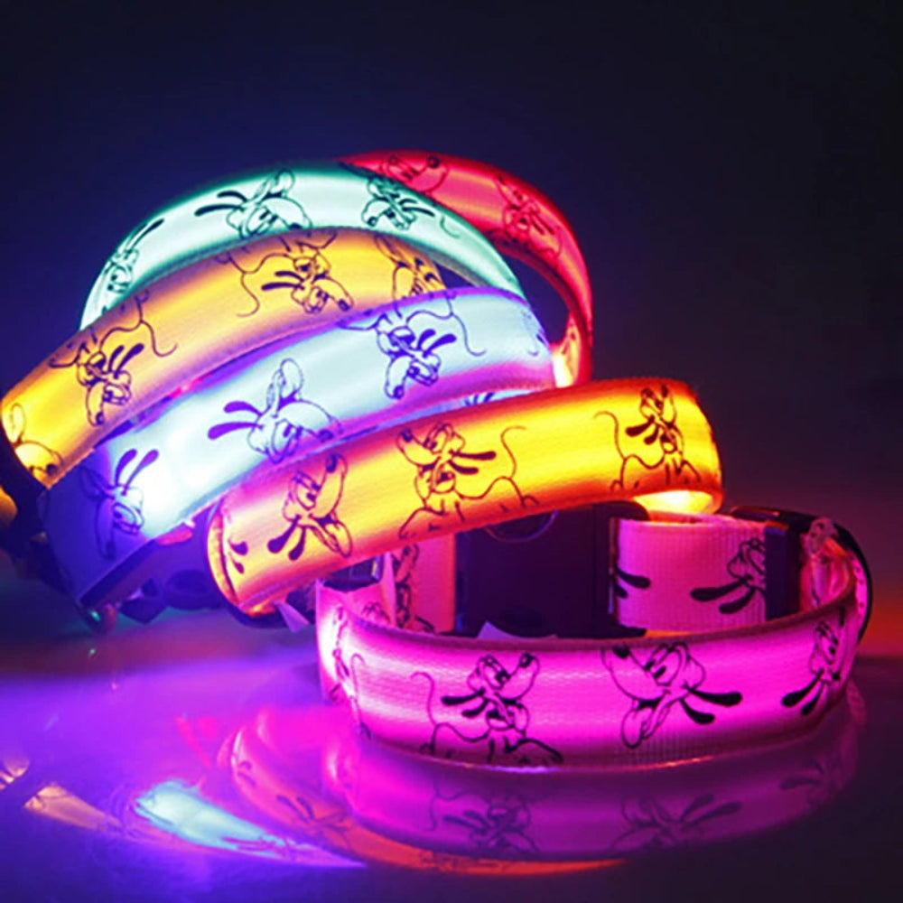 Collier LED à motifs pour chiens et chats – Livraison gratuite et retour offert| Calmozon