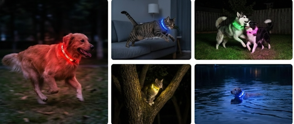 Collier LED à motifs pour chiens et chats – Livraison gratuite et retour offert| Calmozon