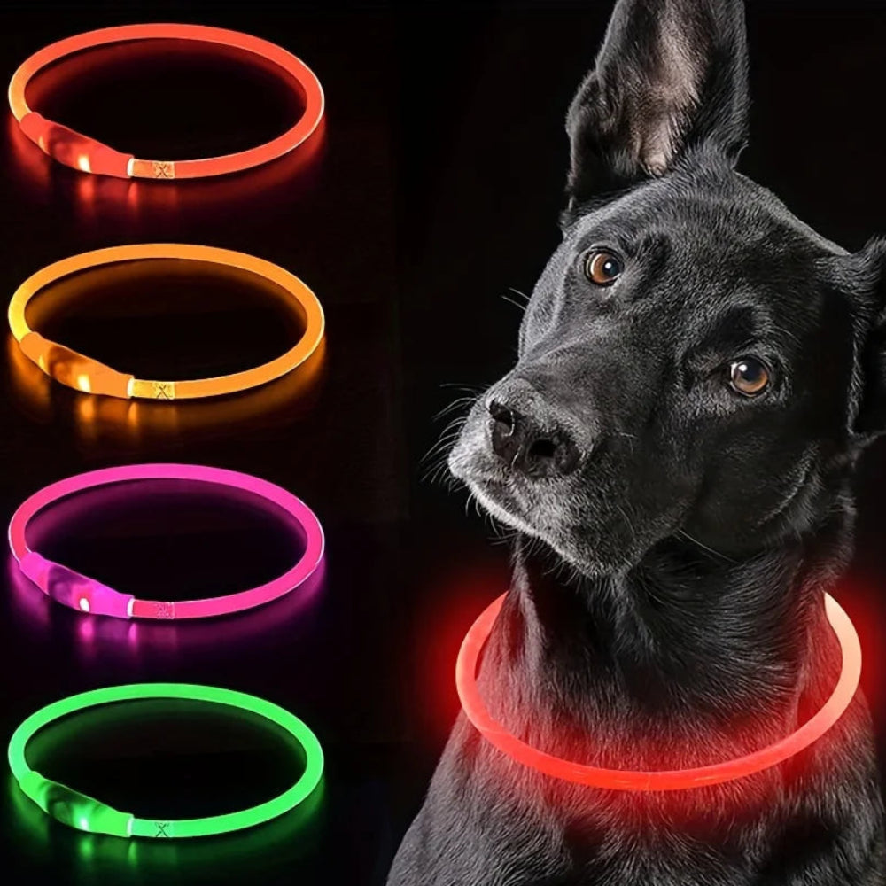 Collier LED chien anti-perte – Livraison gratuite et retour offert | Calmozon