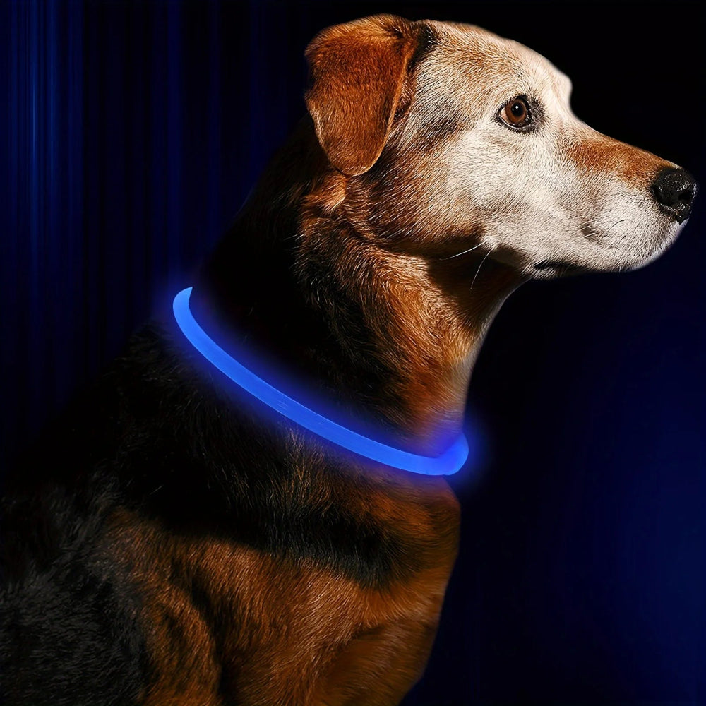 Collier LED chien anti-perte – Livraison gratuite et retour offert | Calmozon