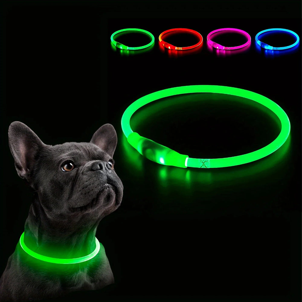 Collier LED chien anti-perte – Livraison gratuite et retour offert | Calmozon