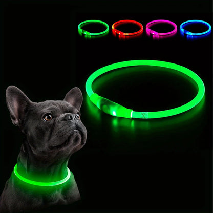 Collier LED chien anti-perte – Livraison gratuite et retour offert | Calmozon