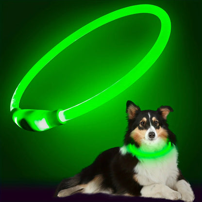 Collier LED chien anti-perte – Livraison gratuite et retour offert | Calmozon