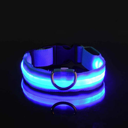 Collier LED chien rechargeable – Livraison gratuite et retour offert | Calmozon
