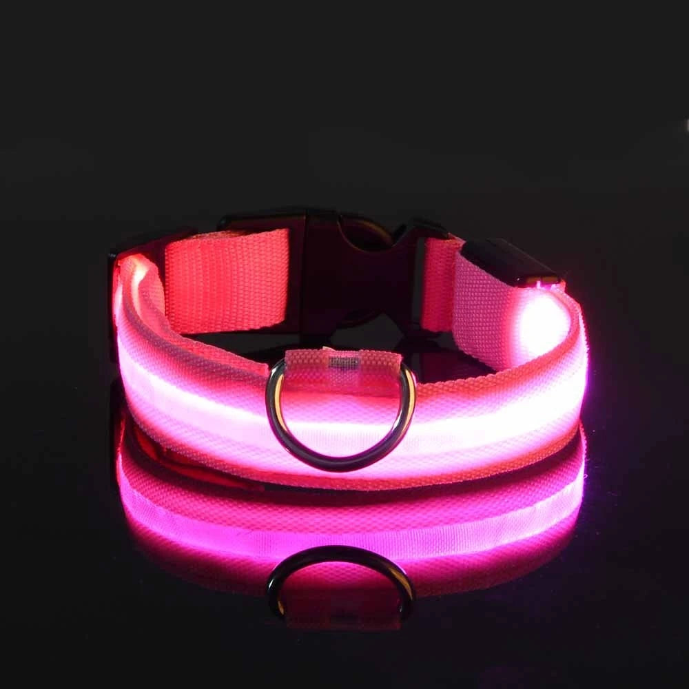Collier LED chien rechargeable – Livraison gratuite et retour offert | Calmozon