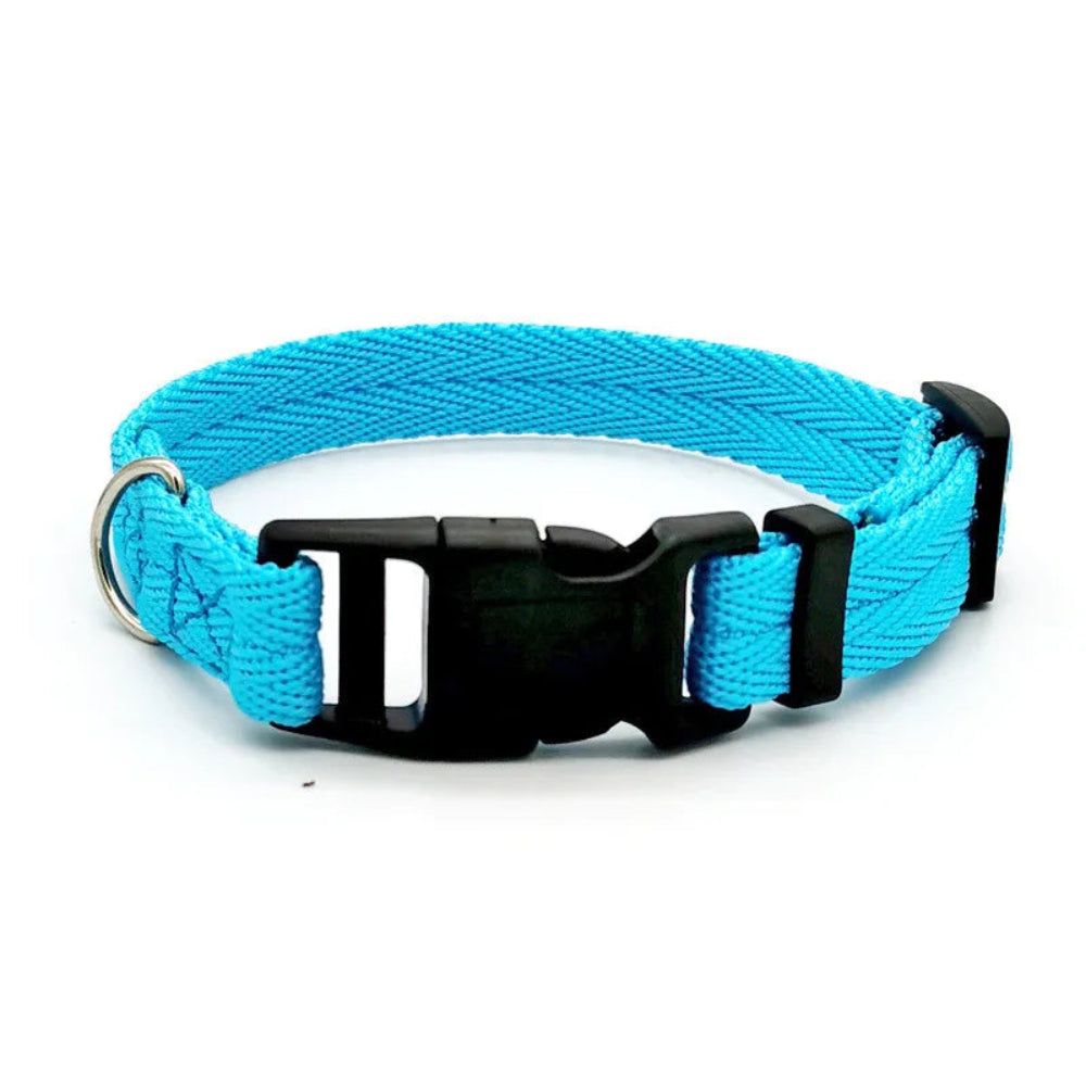 Collier ajustable en nylon pour chien et chat - livraison gratuite et retour offert – Calmozon