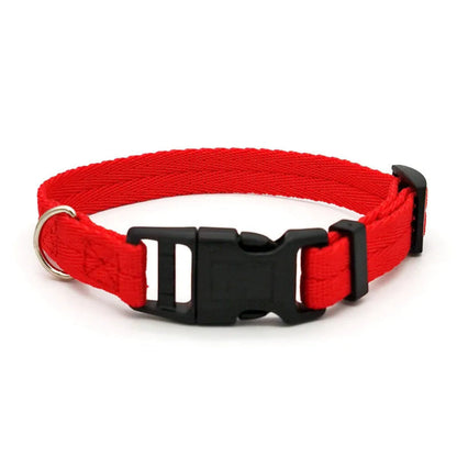 Collier ajustable en nylon pour chien et chat - livraison gratuite et retour offert – Calmozon