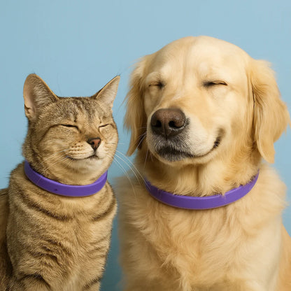 Calmozon, le collier aux phéromones, naturel, calmant et déstressant pour les chiens et les chat