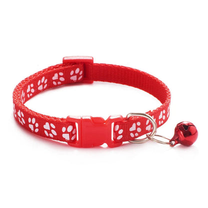 Collier chat chiot coloré – Livraison gratuite et retour offert | Calmozon