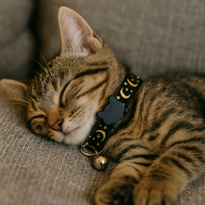 Collier chat réfléchissant – Livraison gratuite et retour offert | Calmozon