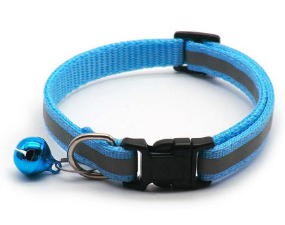 Collier réfléchissant chat chien – Livraison gratuite et retour offert | Calmozon