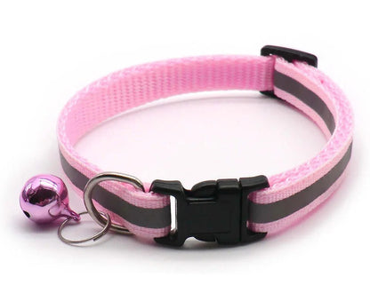 Collier réfléchissant chat chien – Livraison gratuite et retour offert | Calmozon