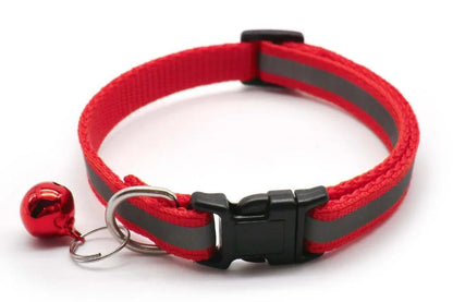 Collier réfléchissant chat chien – Livraison gratuite et retour offert | Calmozon