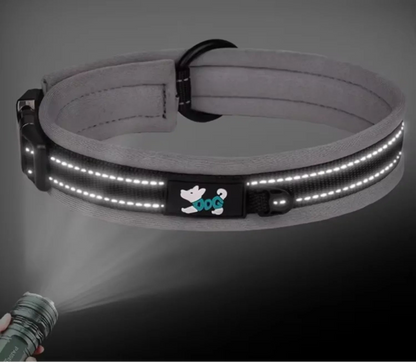 Collier rembourré réfléchissant pour chien – Livraison gratuite et retour offert| Calmozon