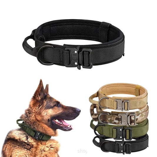Collier tactique chien nylon – Livraison gratuite et retour offert | Calmozon