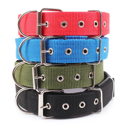 Collier pour chien en nylon solide, réglable et confortable - livraison gratuite et retour offert – Calmozon