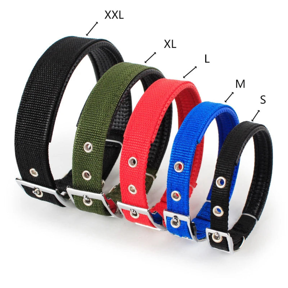 Collier pour chien en nylon solide, réglable et confortable - livraison gratuite et retour offert – Calmozon