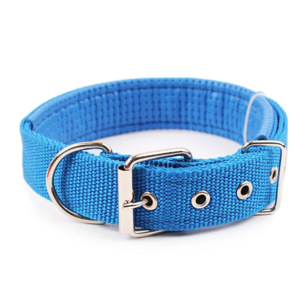 Collier pour chien en nylon solide, réglable et confortable - livraison gratuite et retour offert – Calmozon