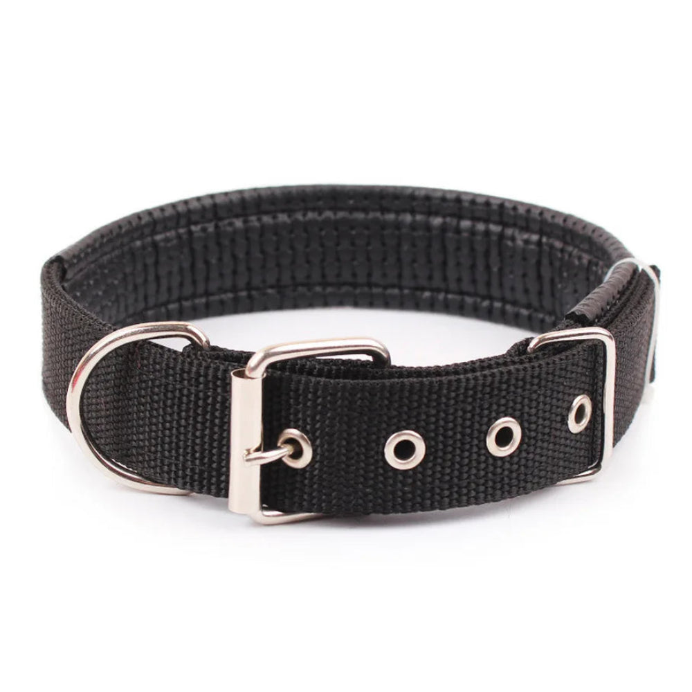 Collier pour chien en nylon solide, réglable et confortable - livraison gratuite et retour offert – Calmozon