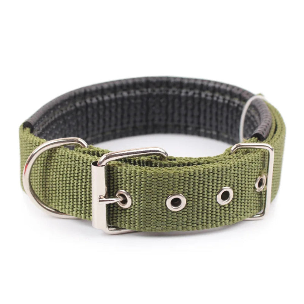 Collier pour chien en nylon solide, réglable et confortable - livraison gratuite et retour offert – Calmozon