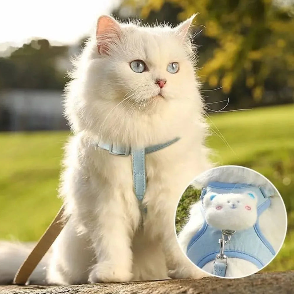 Ensemble de Harnais et Laisse mignon réglable pour chat - livraison gratuite et retour offert – Calmozon