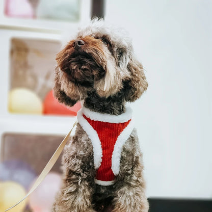 Ensemble de laisse et harnais à fourrure pour Chien et Chat– Livraison gratuite et retour offert| Calmozon