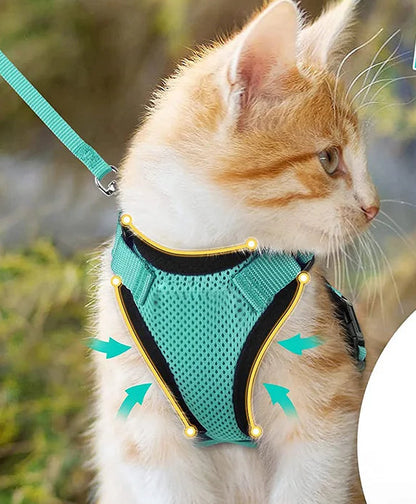 Harnais réglable pour chat – Livraison gratuite et retour offert | Calmozon