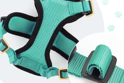 Harnais réglable pour chat – Livraison gratuite et retour offert | Calmozon