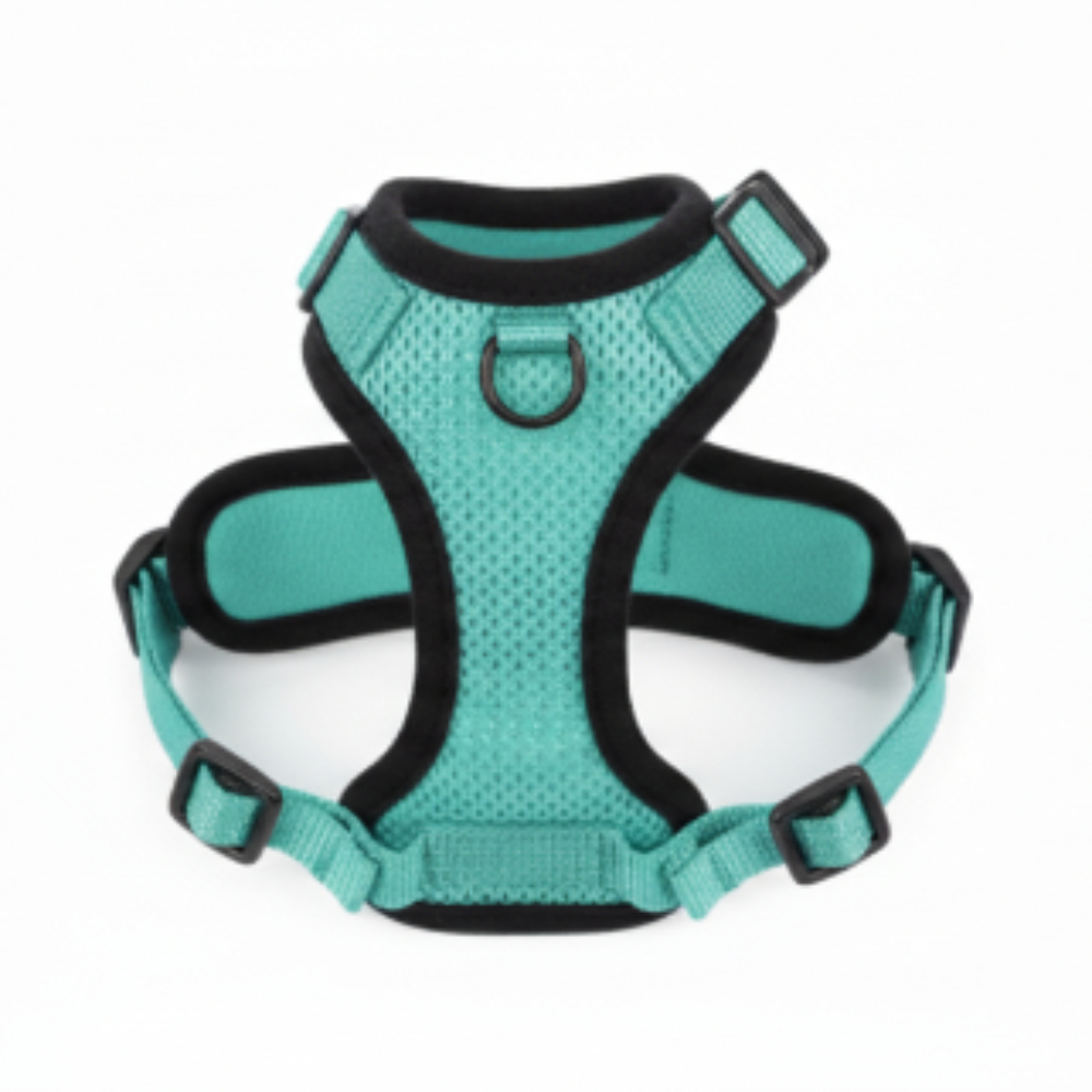 Harnais réglable pour chat – Livraison gratuite et retour offert | Calmozon