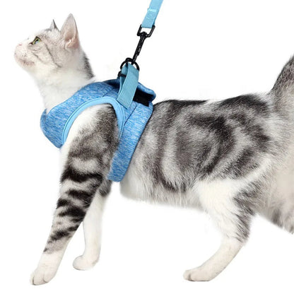 Laisse et harnais doux et confortable pour chat - livraison gratuite et retour offert – Calmozon
