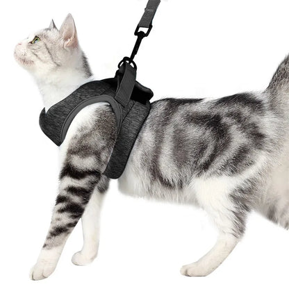Laisse et harnais doux et confortable pour chat - livraison gratuite et retour offert – Calmozon
