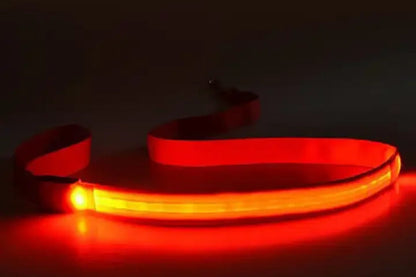 Laisse lumineuse pour chien et chat, recharge USB– Livraison gratuite et retour offert| Calmozon