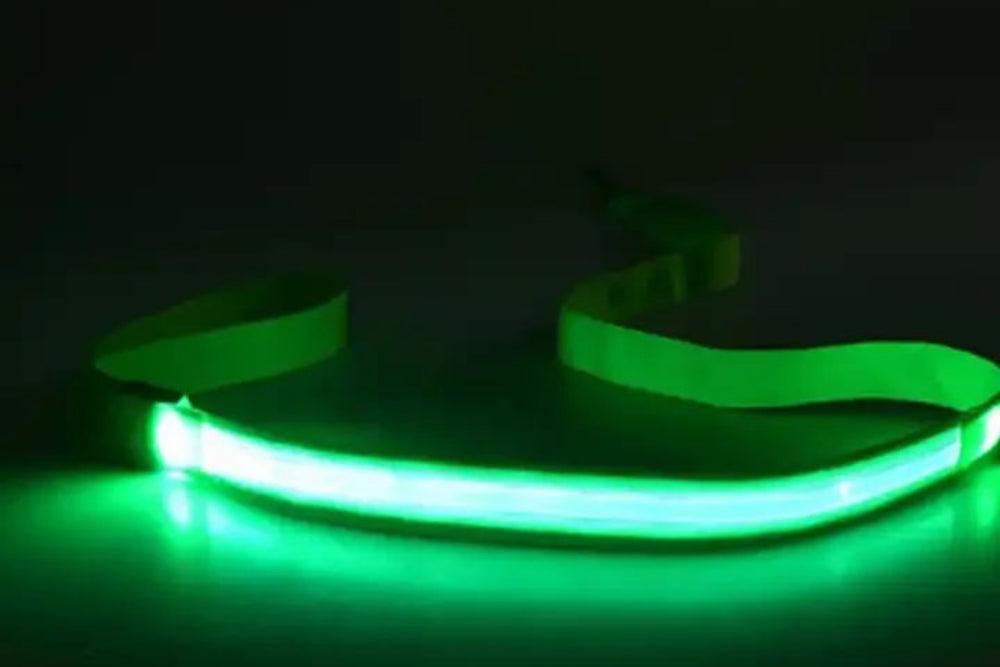 Laisse lumineuse pour chien et chat, recharge USB– Livraison gratuite et retour offert| Calmozon