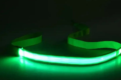 Laisse lumineuse pour chien et chat, recharge USB– Livraison gratuite et retour offert| Calmozon