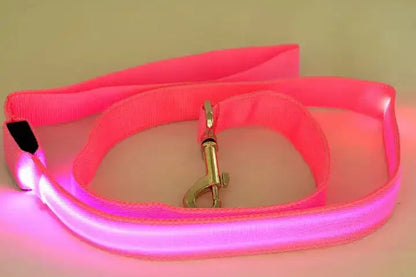 Laisse lumineuse pour chien et chat, recharge USB– Livraison gratuite et retour offert| Calmozon