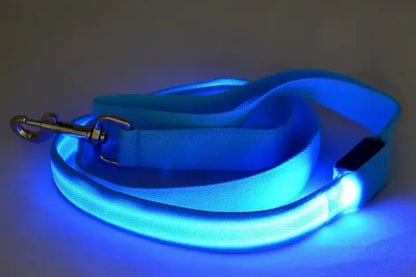 Laisse lumineuse pour chien et chat, recharge USB– Livraison gratuite et retour offert| Calmozon
