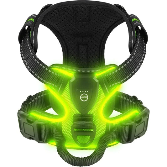 Harnais lumineux réglable pour chiens- livraison gratuite et retour offert – Calmozon
