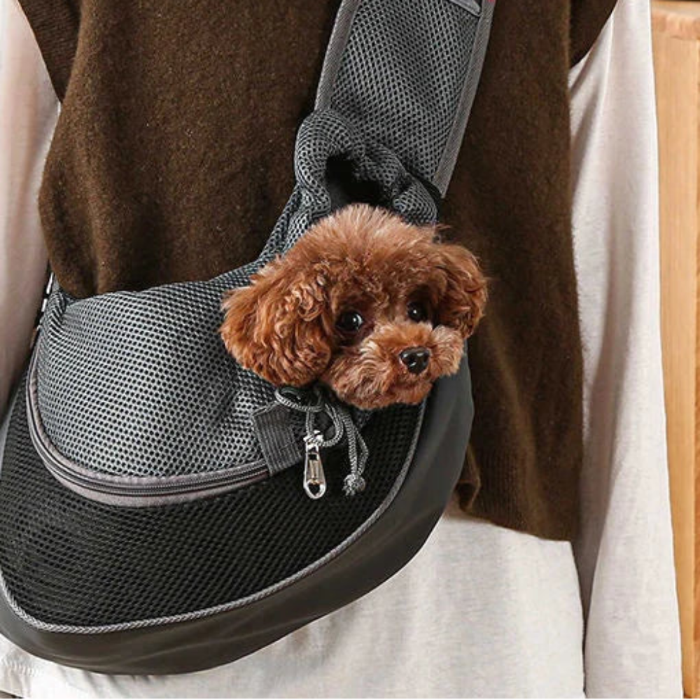 Sac de transport pour chiens, chats et chiots - livraison gratuite et retour offert – Calmozon
